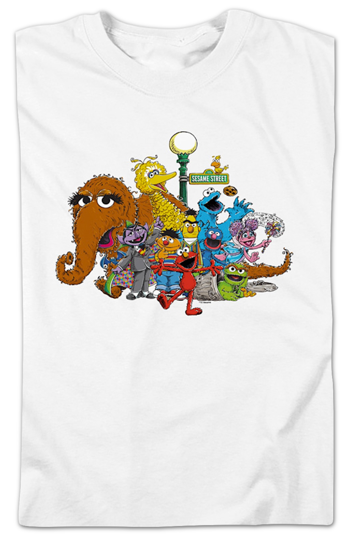 Classic Characters Group Photo Sesame Street T-Shirt