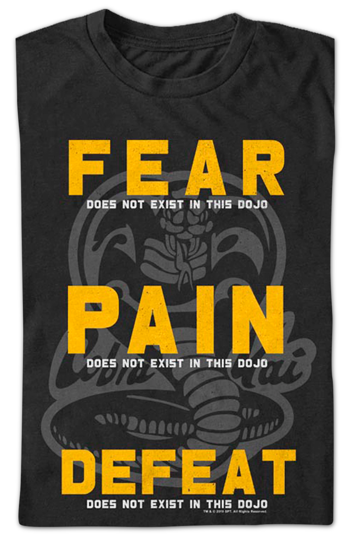 Fear Pain Defeat Do Not Exist In This Dojo Cobra Kai T-Shirt