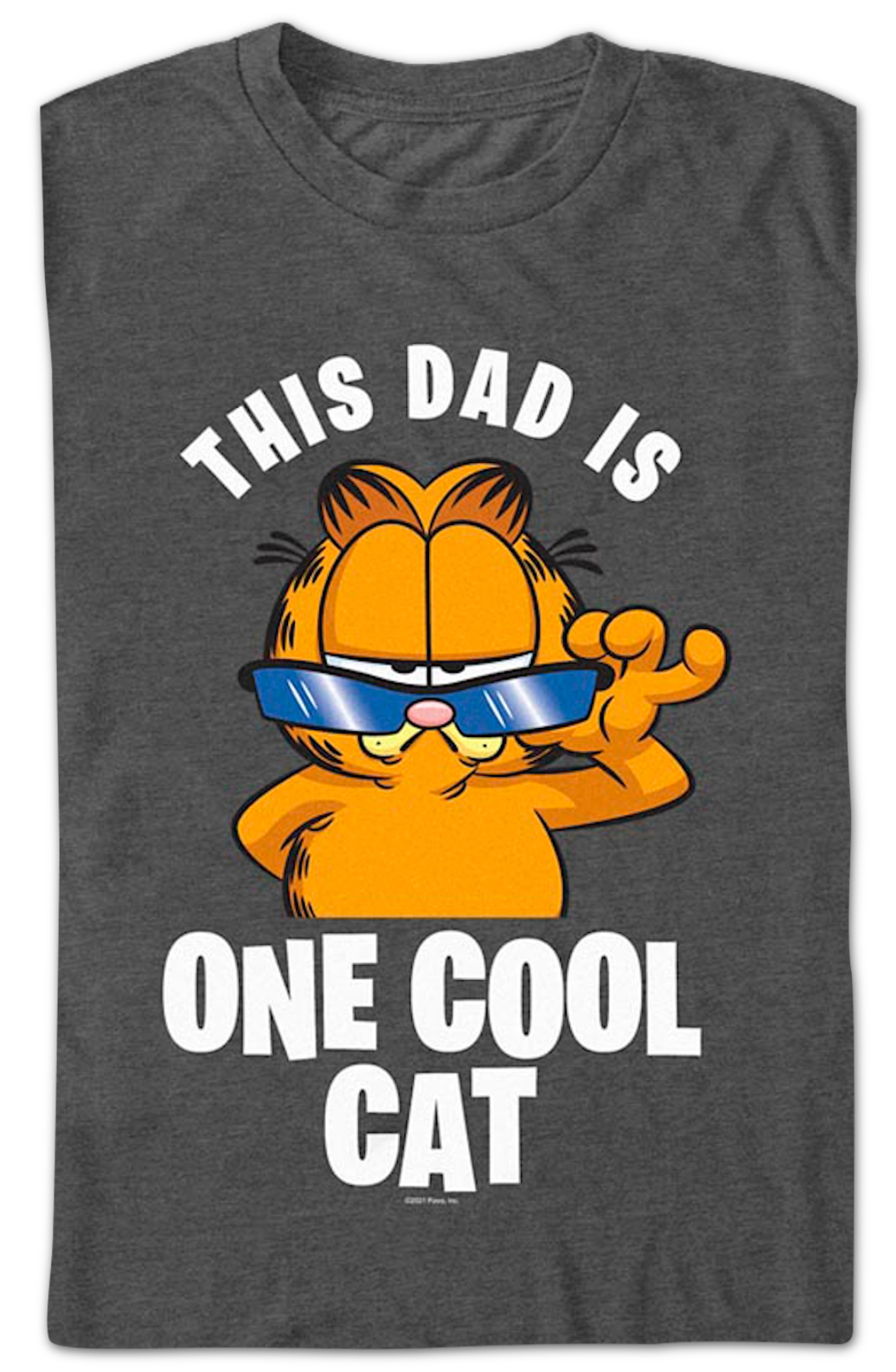 This Dad Is One Cool Cat Garfield T-Shirt