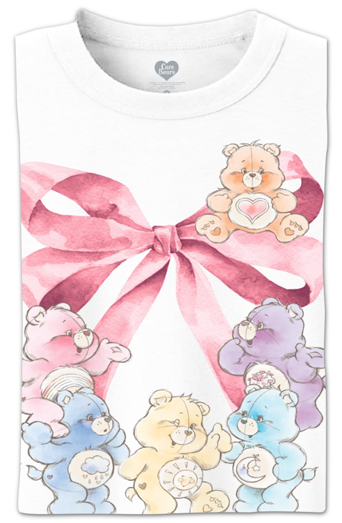 Vintage Bow Care Bears Crop Top