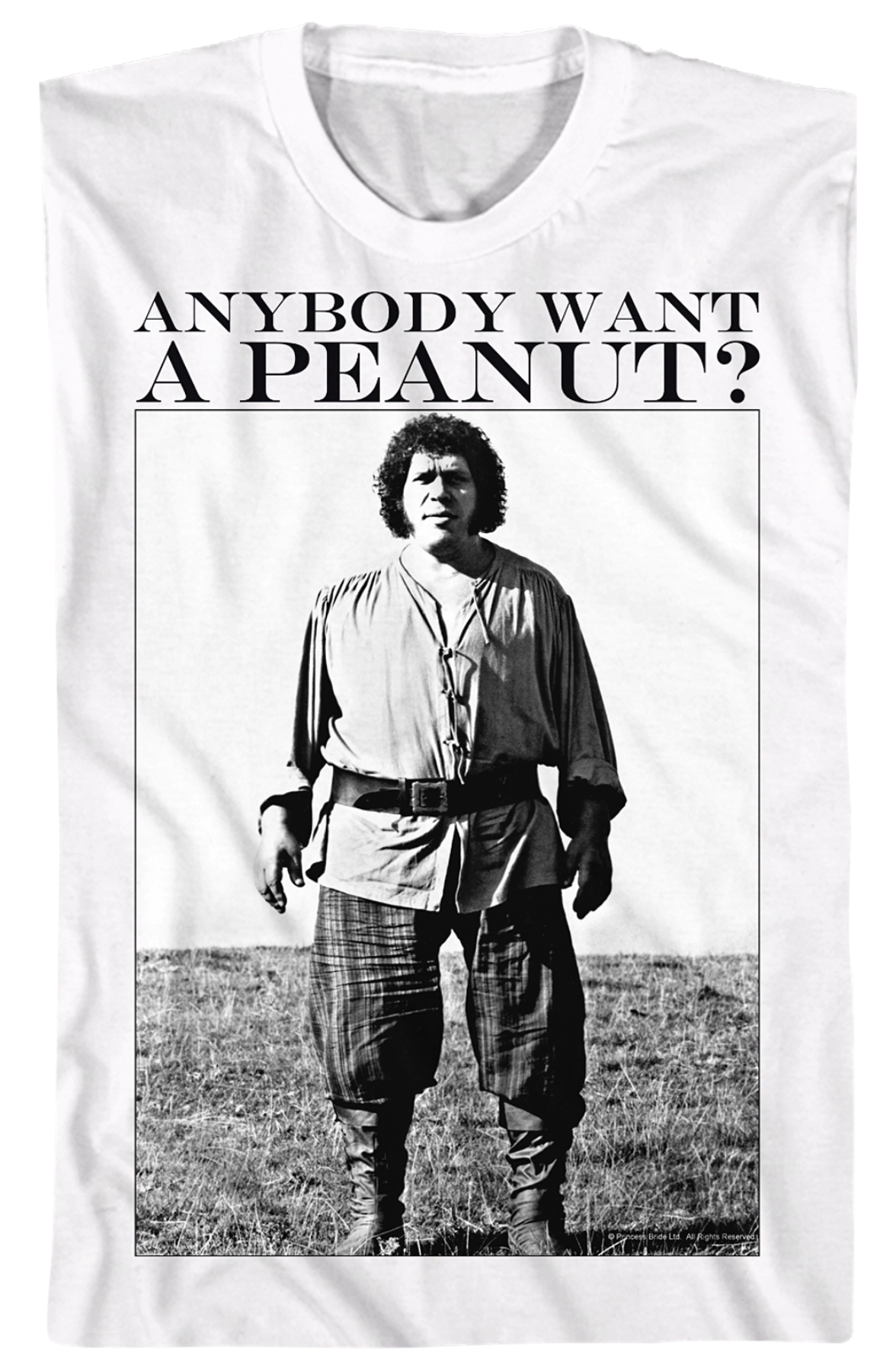 Anybody Want A Peanut Princess Bride T-Shirt