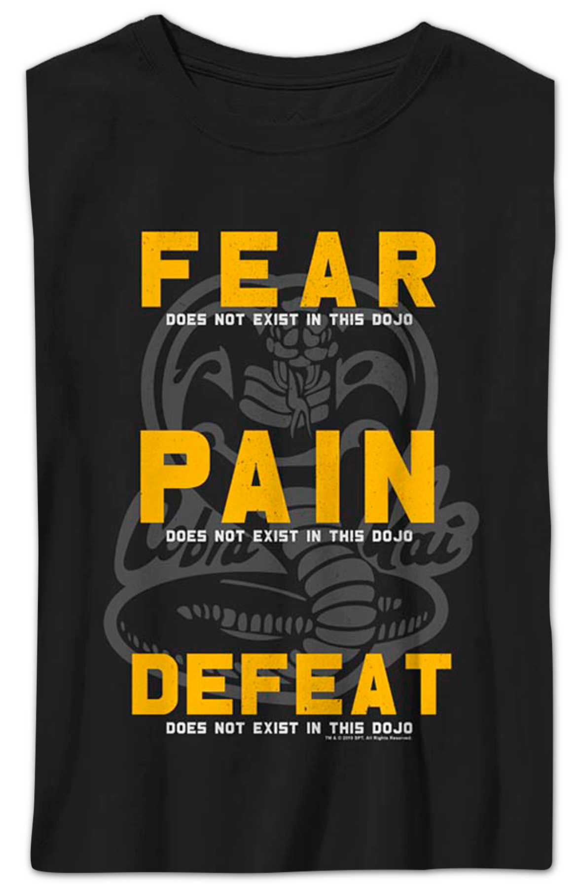 Boys Youth Fear Pain Defeat Do Not Exist In This Dojo Cobra Kai Shirt