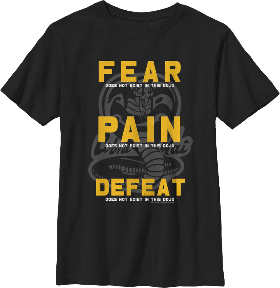 Boys Youth Fear Pain Defeat Do Not Exist In This Dojo Cobra Kai Shirt