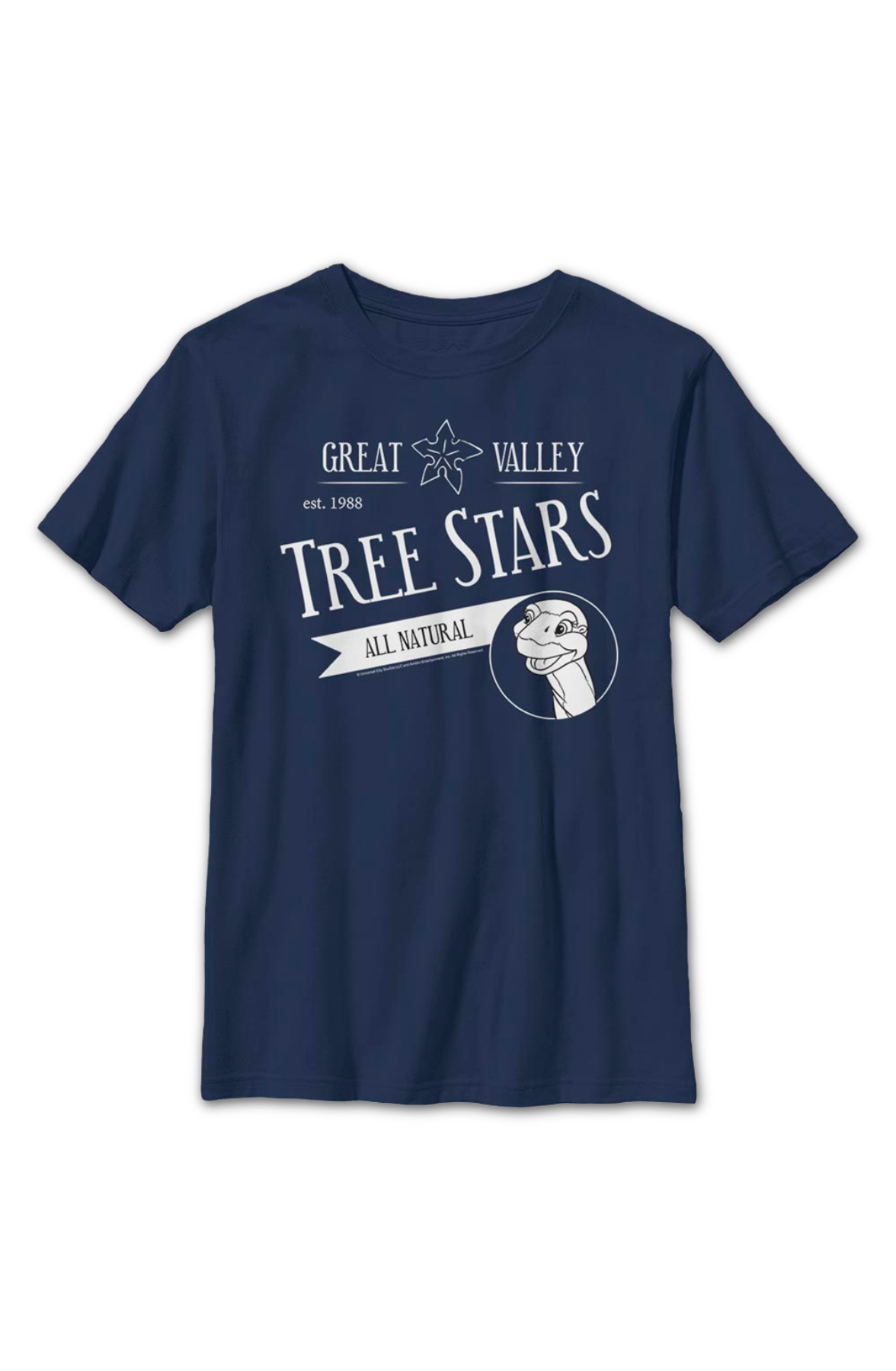 Boys Youth Great Valley Tree Stars Land Before Time Shirt