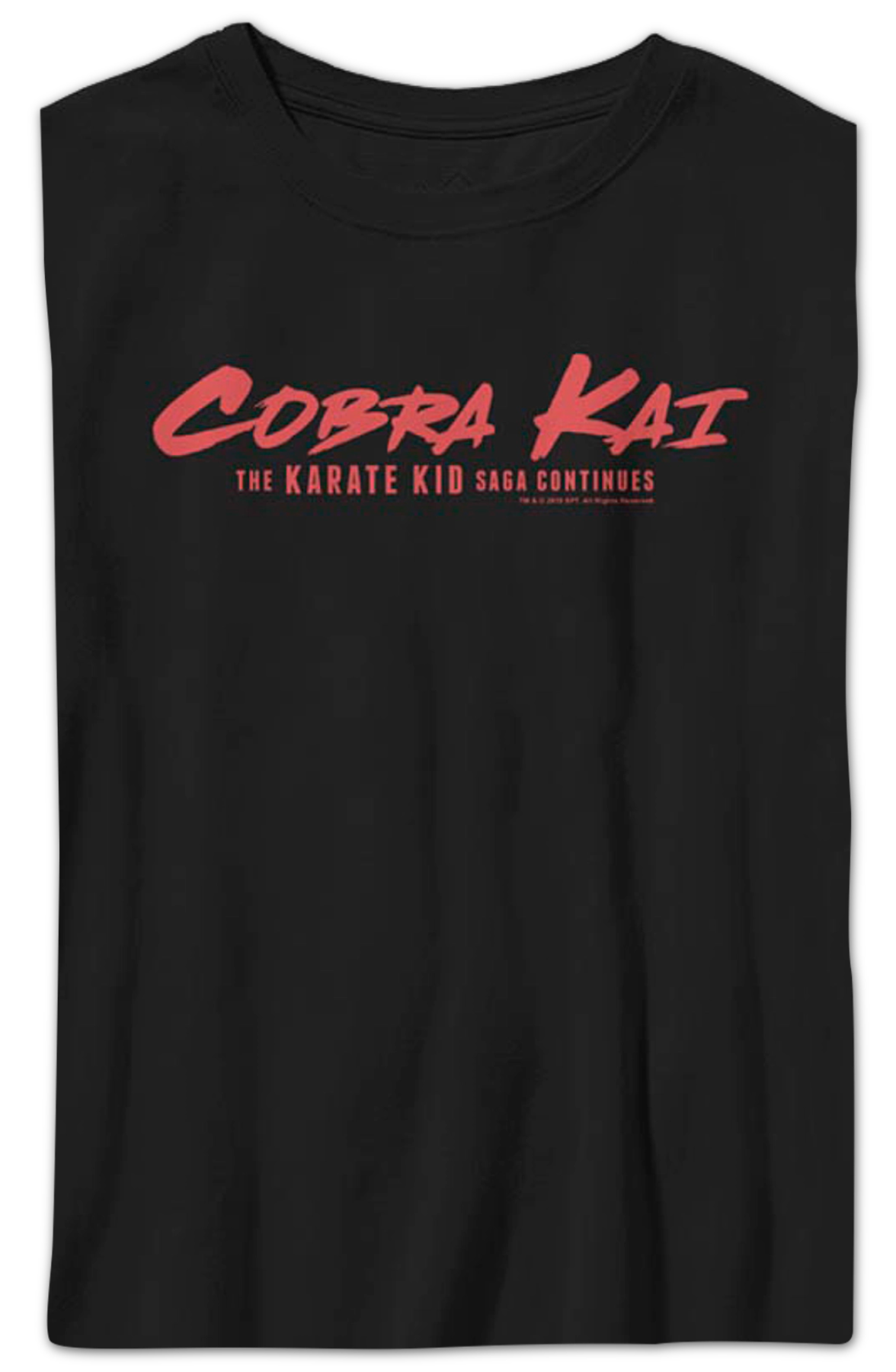 Boys Youth Saga Continues Cobra Kai Shirt