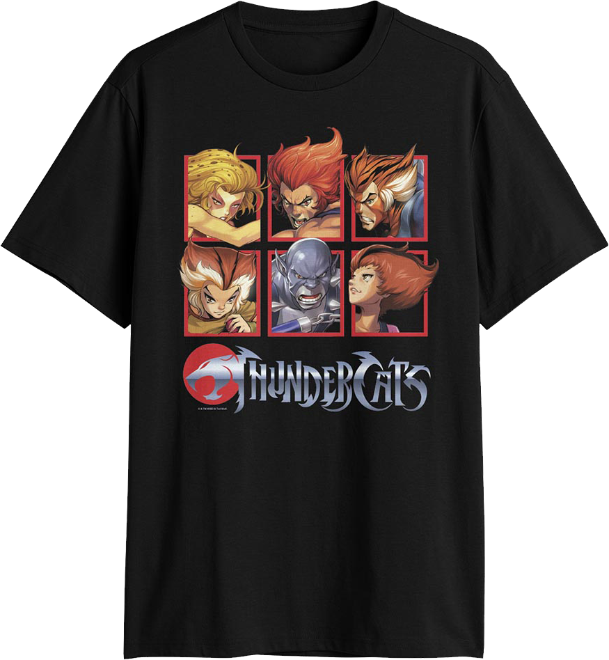 Character Boxes ThunderCats T-Shirt