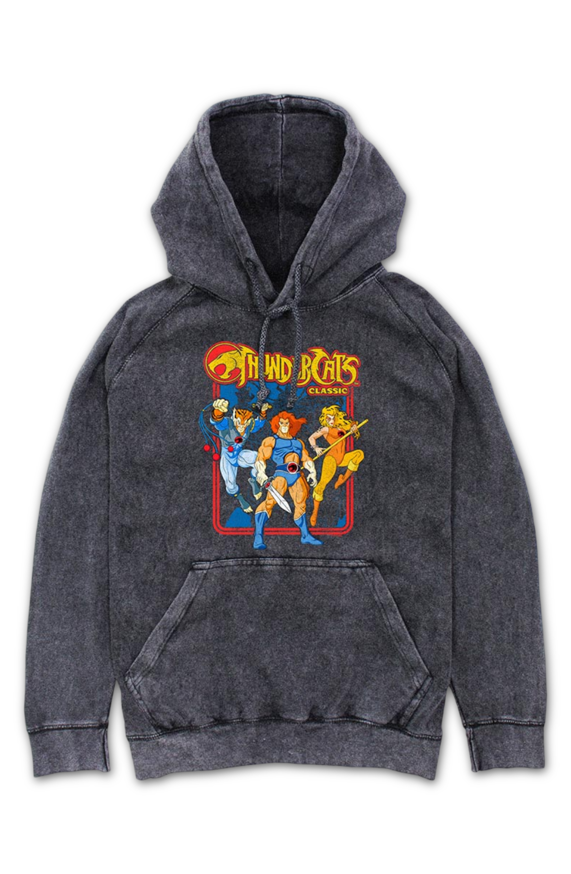 Classic Hero Poses ThunderCats Hoodie