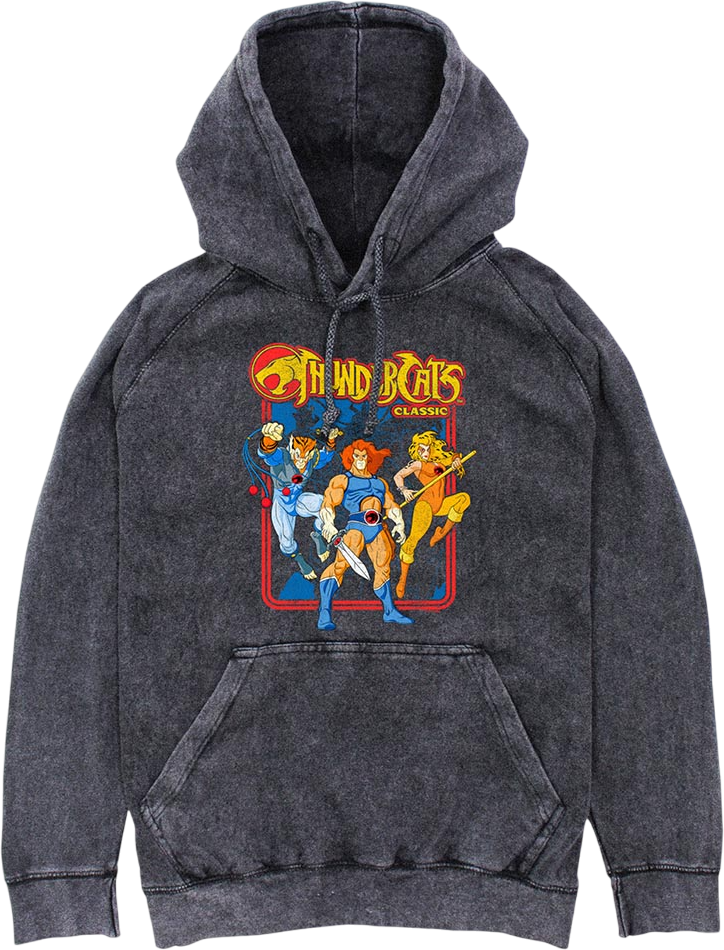 Classic Hero Poses ThunderCats Hoodie