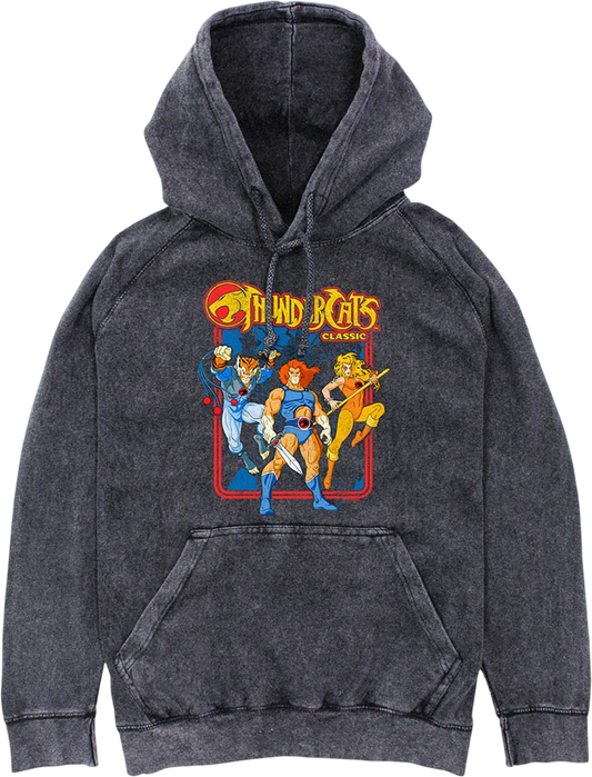 Classic Hero Poses ThunderCats Hoodie