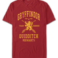 Gryffindor Quidditch Harry Potter T-Shirt