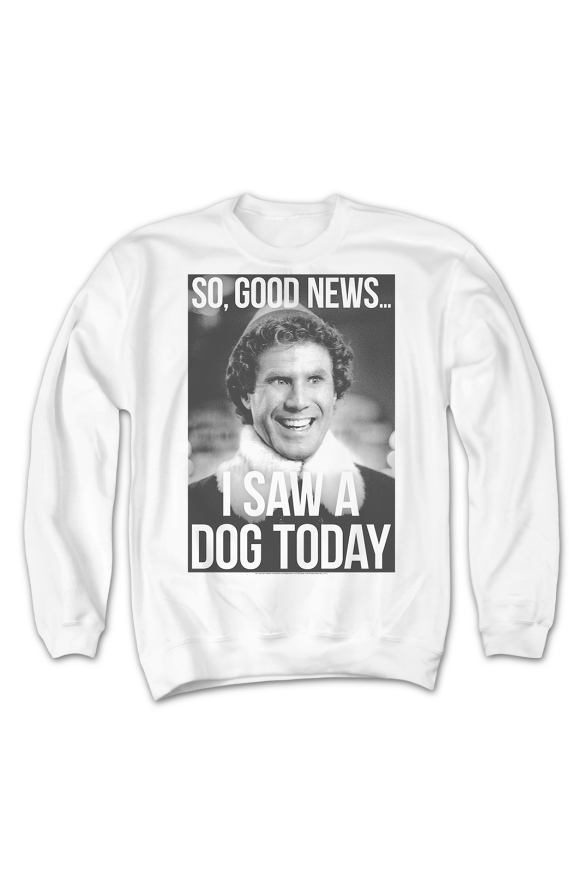 I Saw A Dog Today Elf Sweatshirt