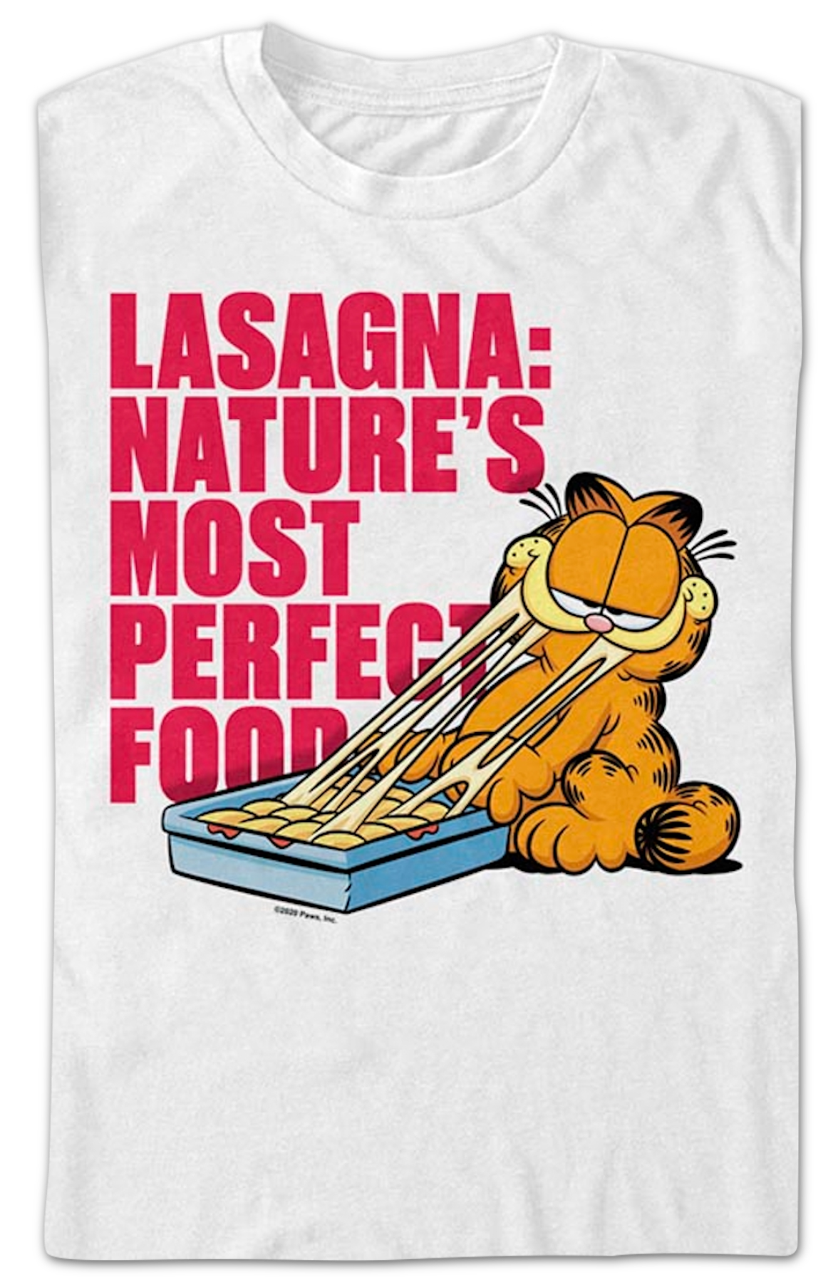 Lasagna Nature's Most Perfect Food Garfield T-Shirt