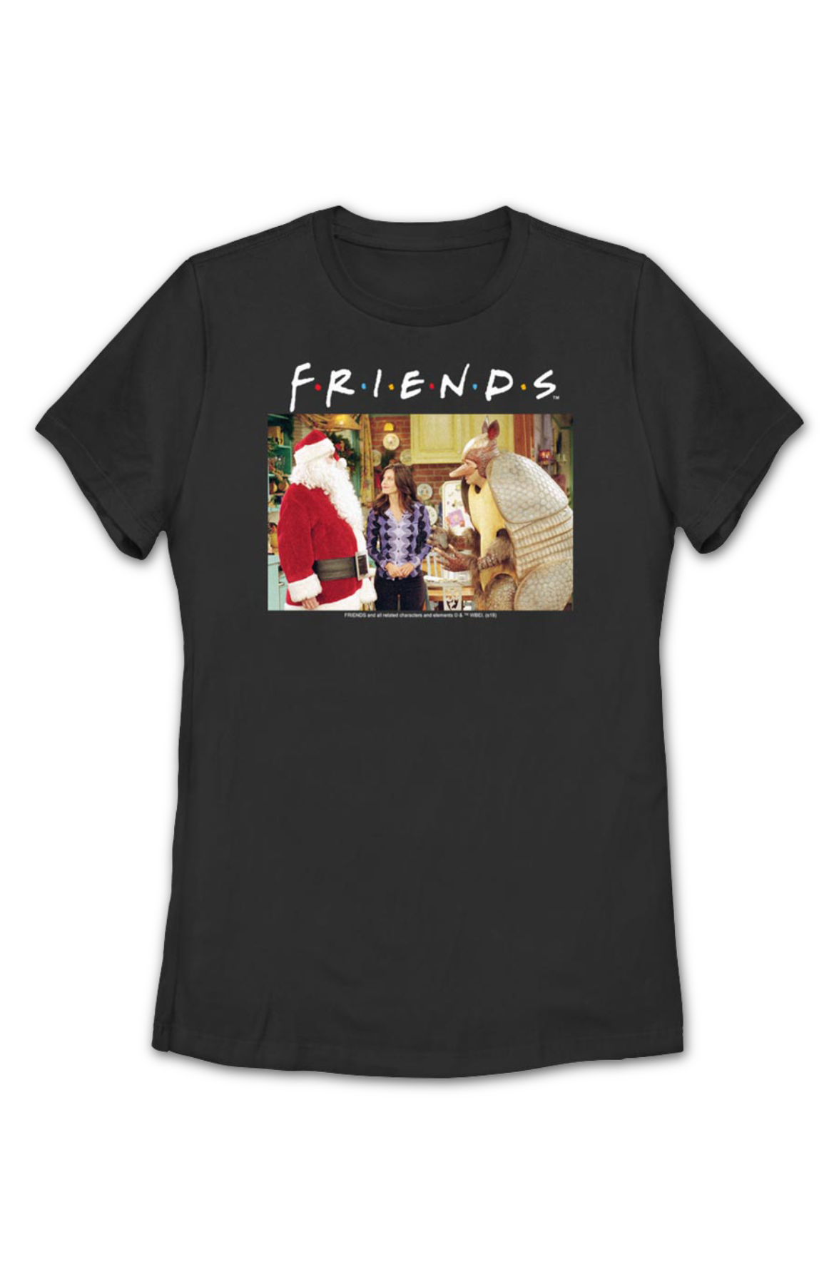 Womens Holiday Armadillo Friends Shirt