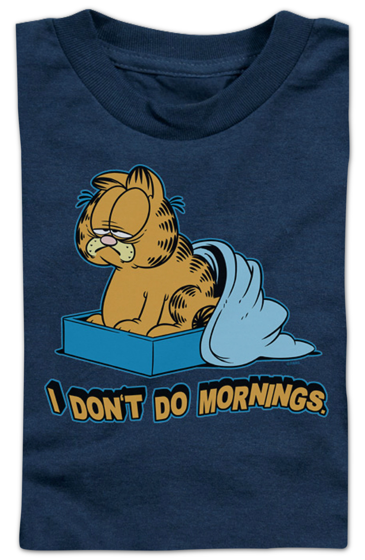 Youth I Don't Do Mornings Garfield Shirt