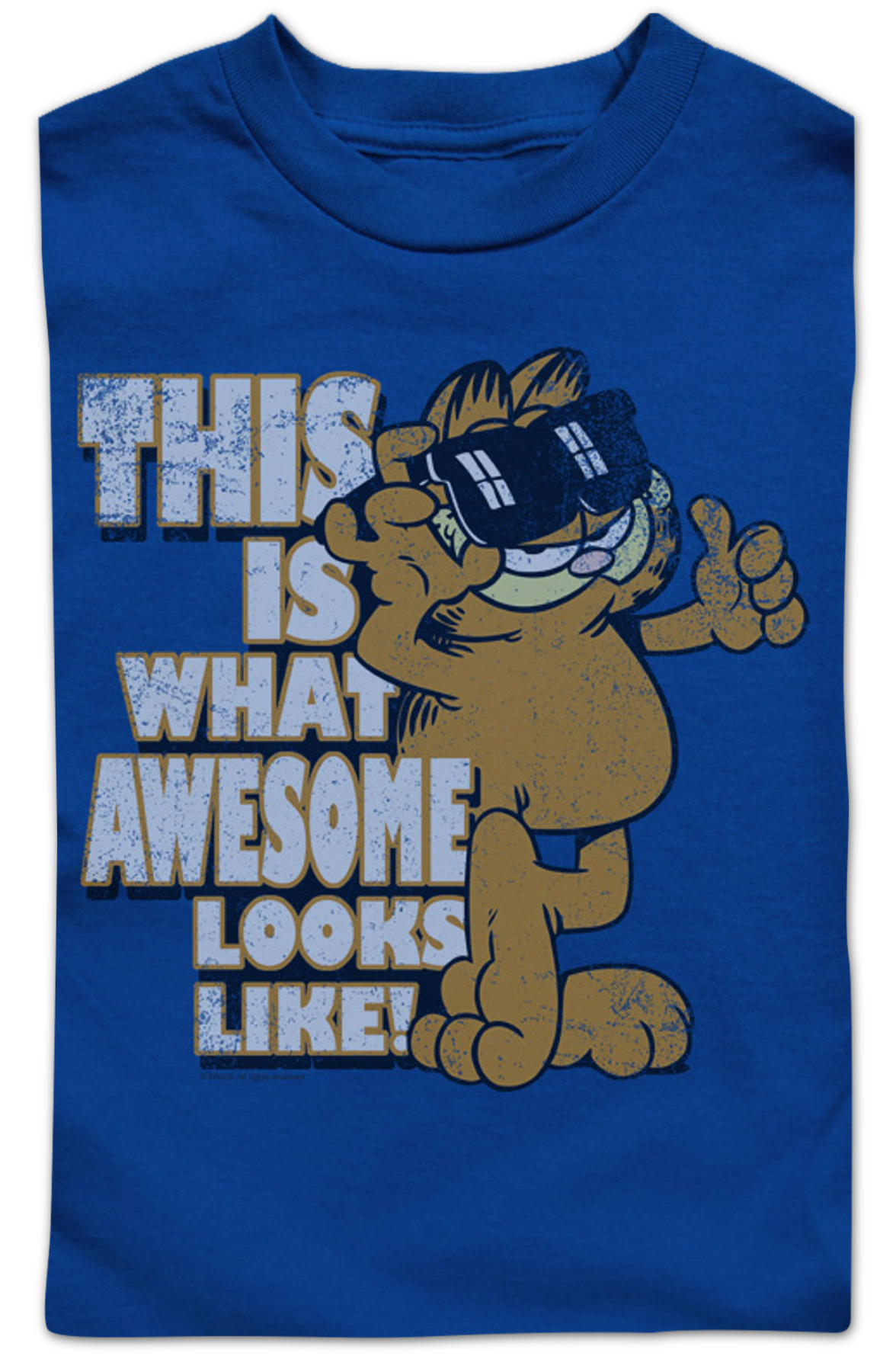 Youth This Is What Awesome Looks Like Garfield Shirt