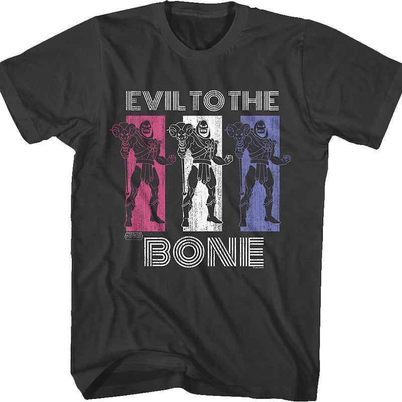 Skeletor Evil to the Bone Masters of the Universe T-Shirt